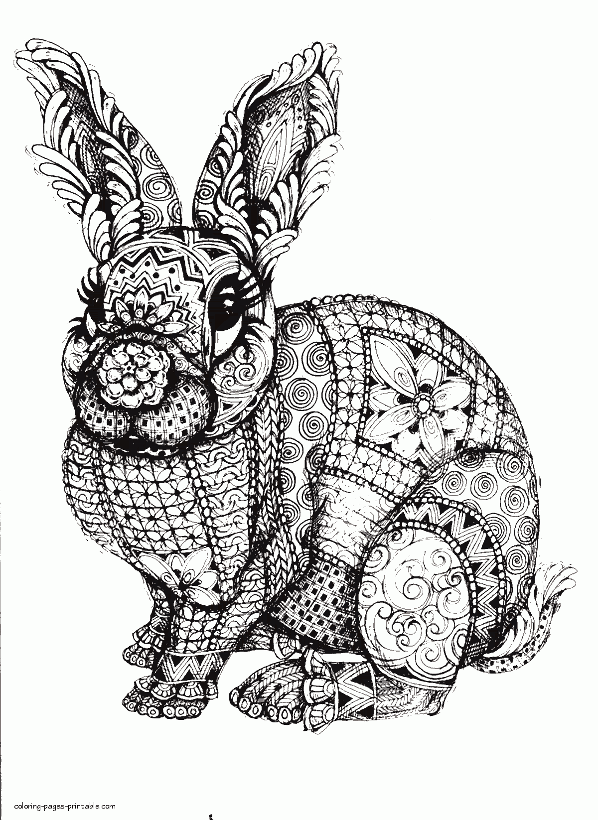 Difficult Animal Coloring Pages. A Rabbit    COLORING PAGES ...