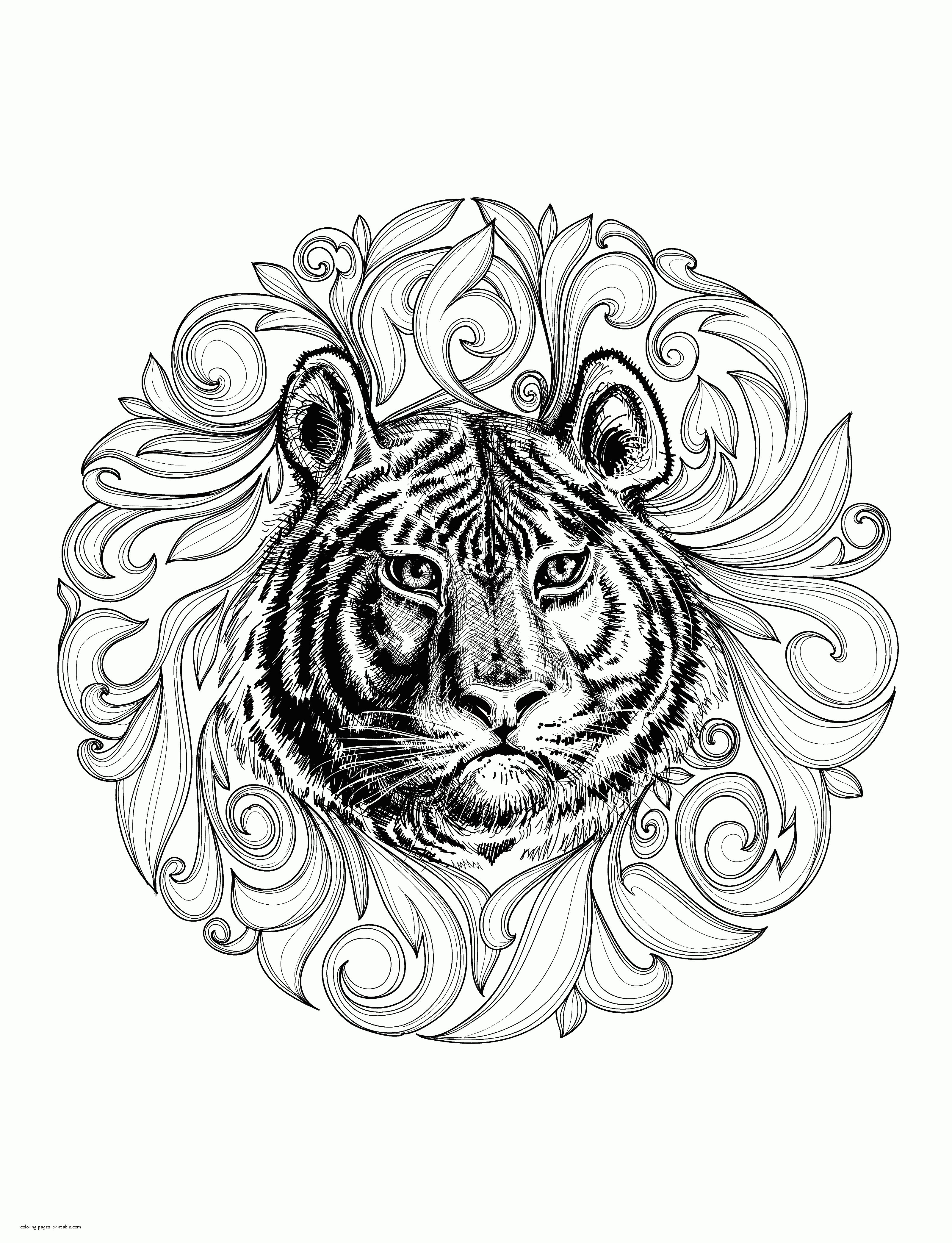 Animal Coloring Pages For Adults. Realistic Tiger    COLORING ...