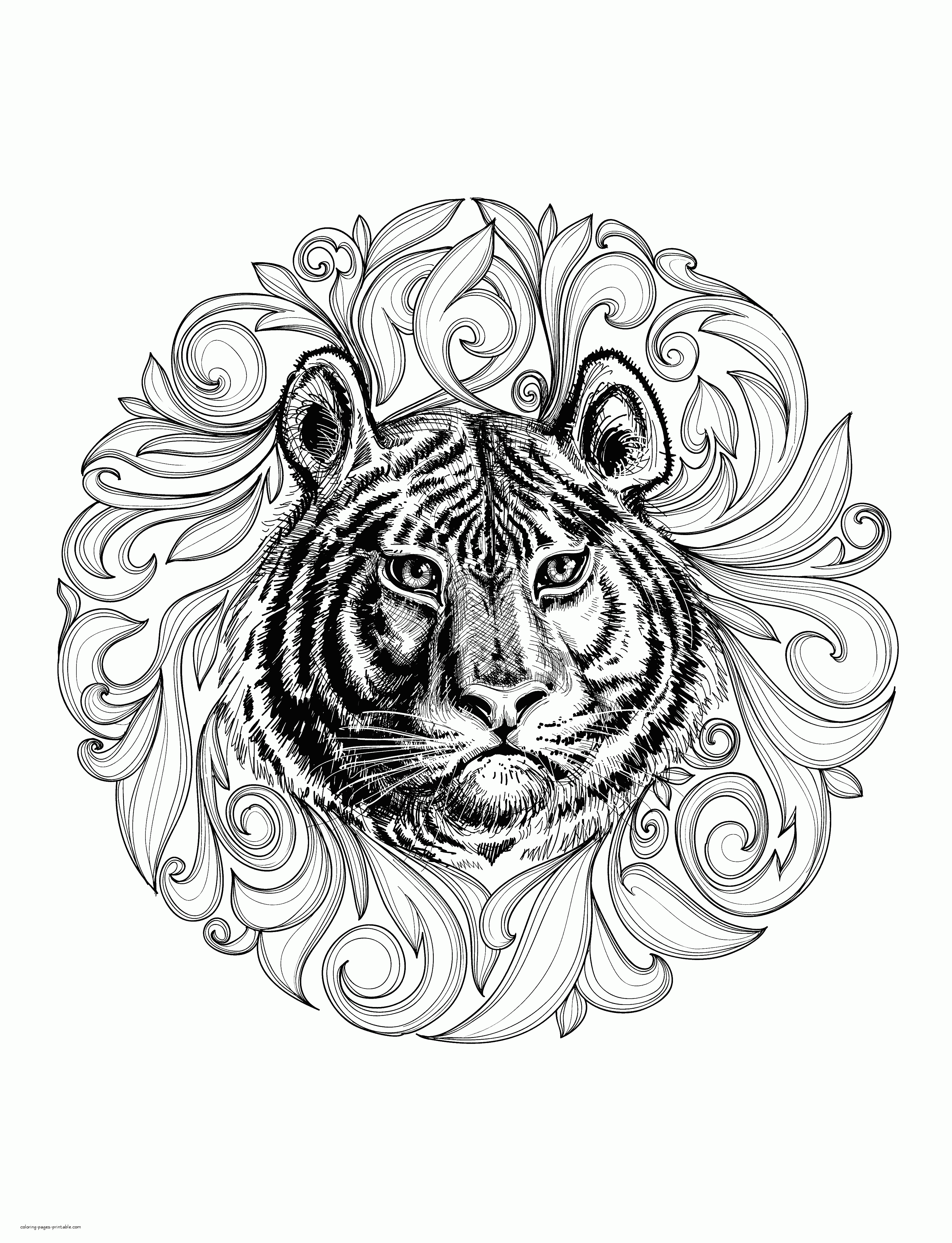 Realistic Printable Tiger Coloring Pages - Printable Coloring Pages