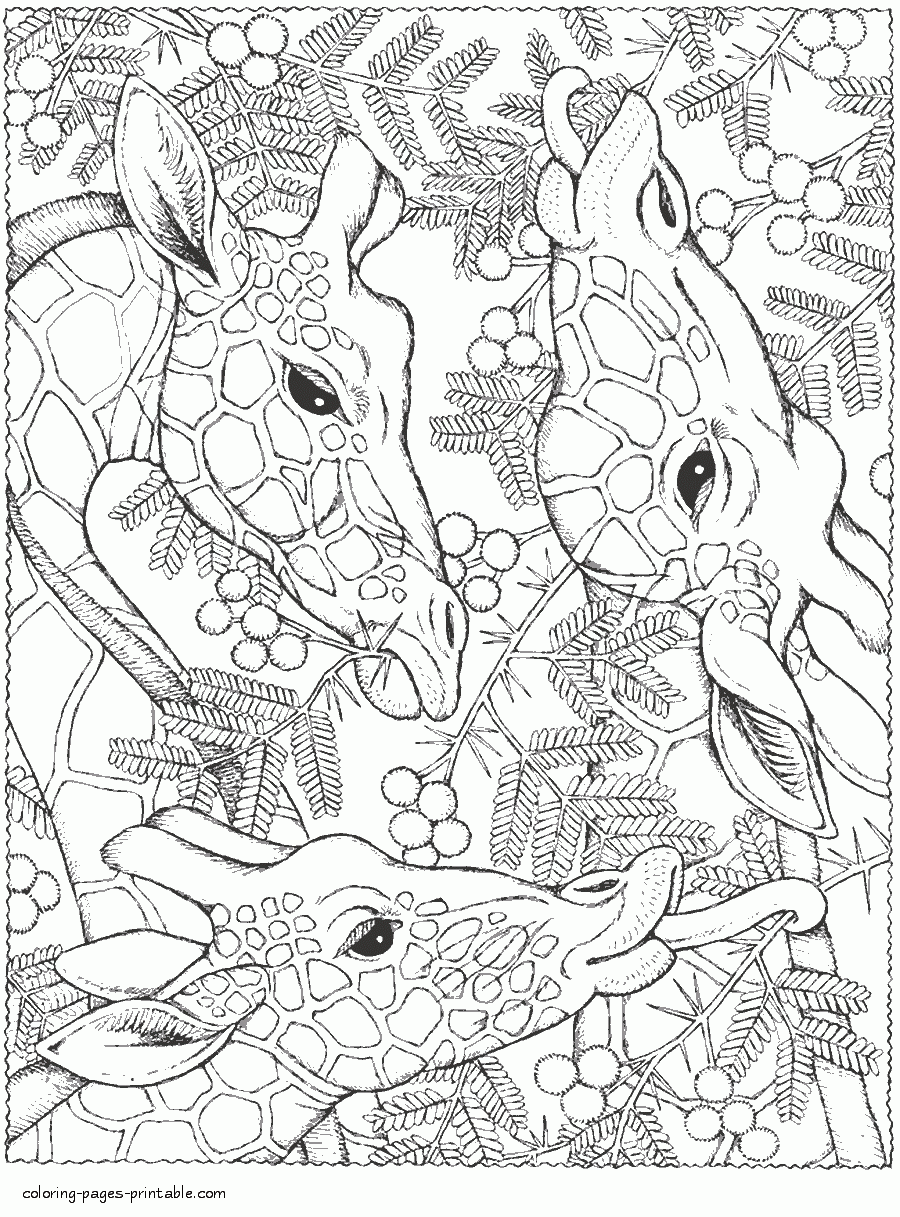 hard coloring pages for teenagers animals