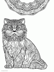 Adult Coloring Page Cat