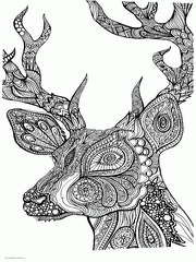 Free Animal Adult Coloring Pages. Printable Deer Picture.