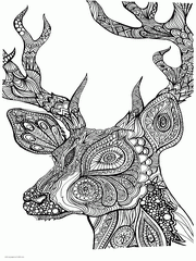 free intricate animal coloring pages