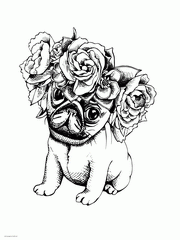 Animal Coloring Pages For Adults. Puppy Free Picture