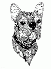 Complex Animal Coloring Pages. A Dog Face