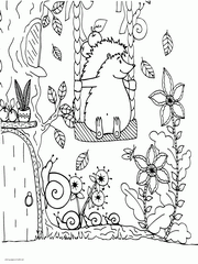 Printable Hedgehog Coloring Page For Free