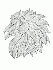 Lion Coloring Pages For Adults printable. Lion Head