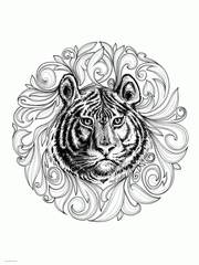 Animal Coloring Pages For Adults. Realistic Tiger Face