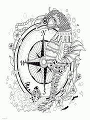 Printable Seahorse Coloring Page For Adults