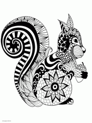 Squirrel. Adult Animal Coloring Sheets To Print