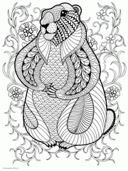 Adult Coloring Book Pages. Animals To Print For Free