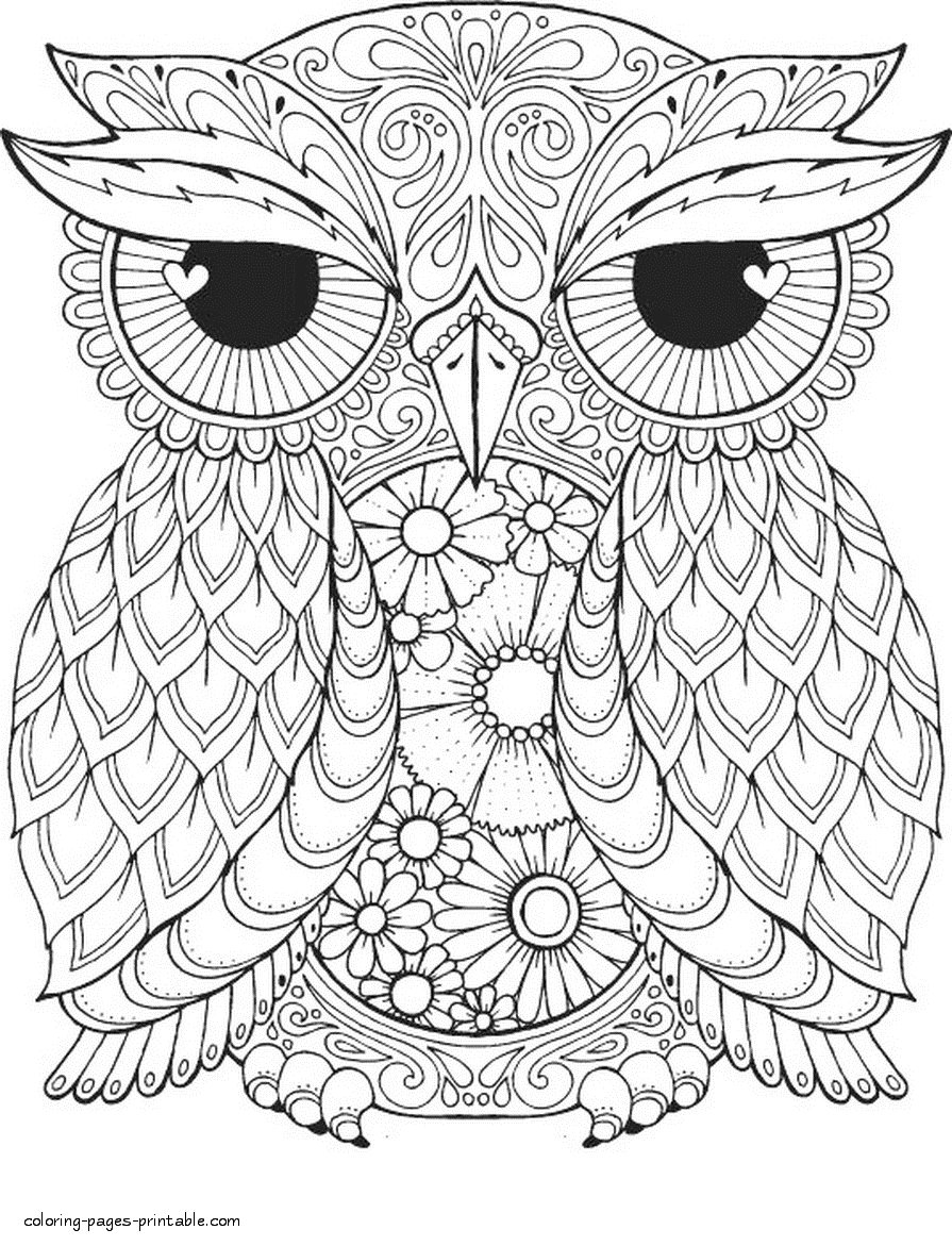 Bird Coloring Pages For Adults. An Owl    COLORING PAGES PRINTABLE.COM