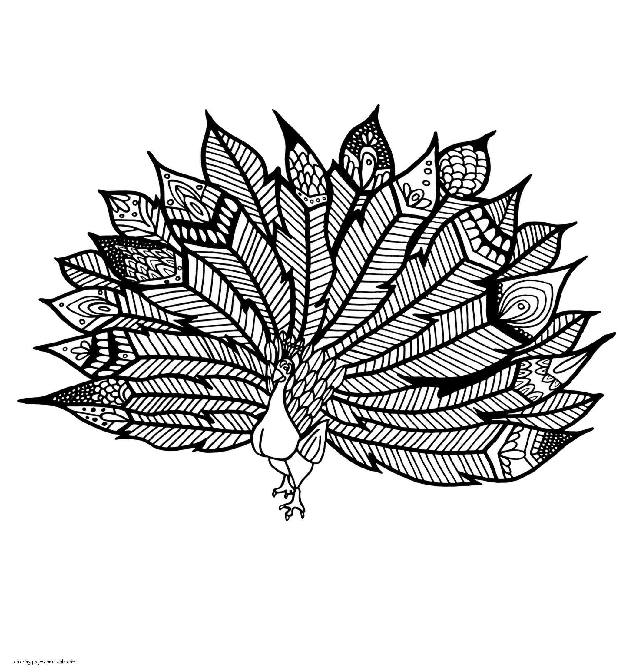 Peacock Coloring Page For Adults That You Can Print