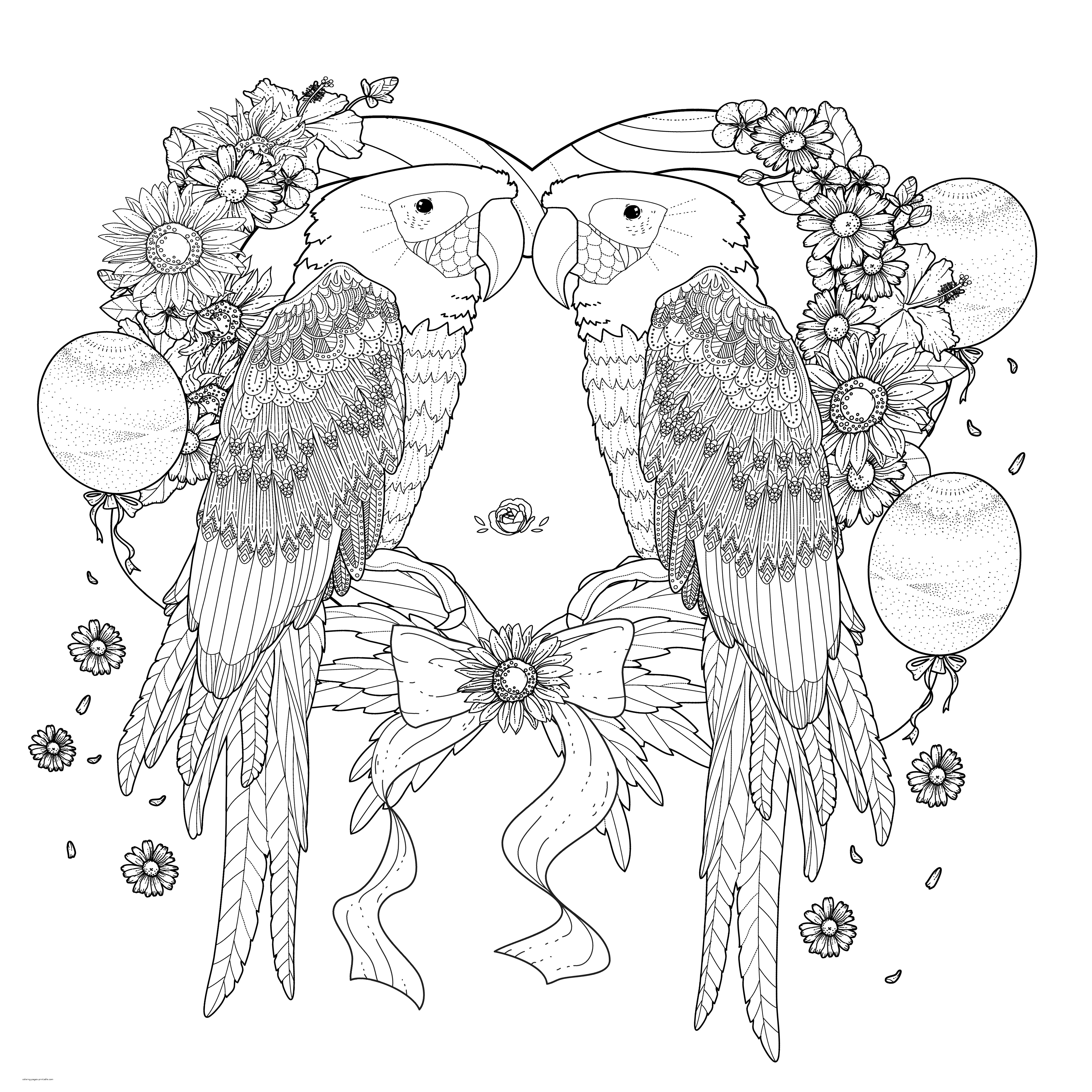 Two Parrots Adult Coloring Page For Free