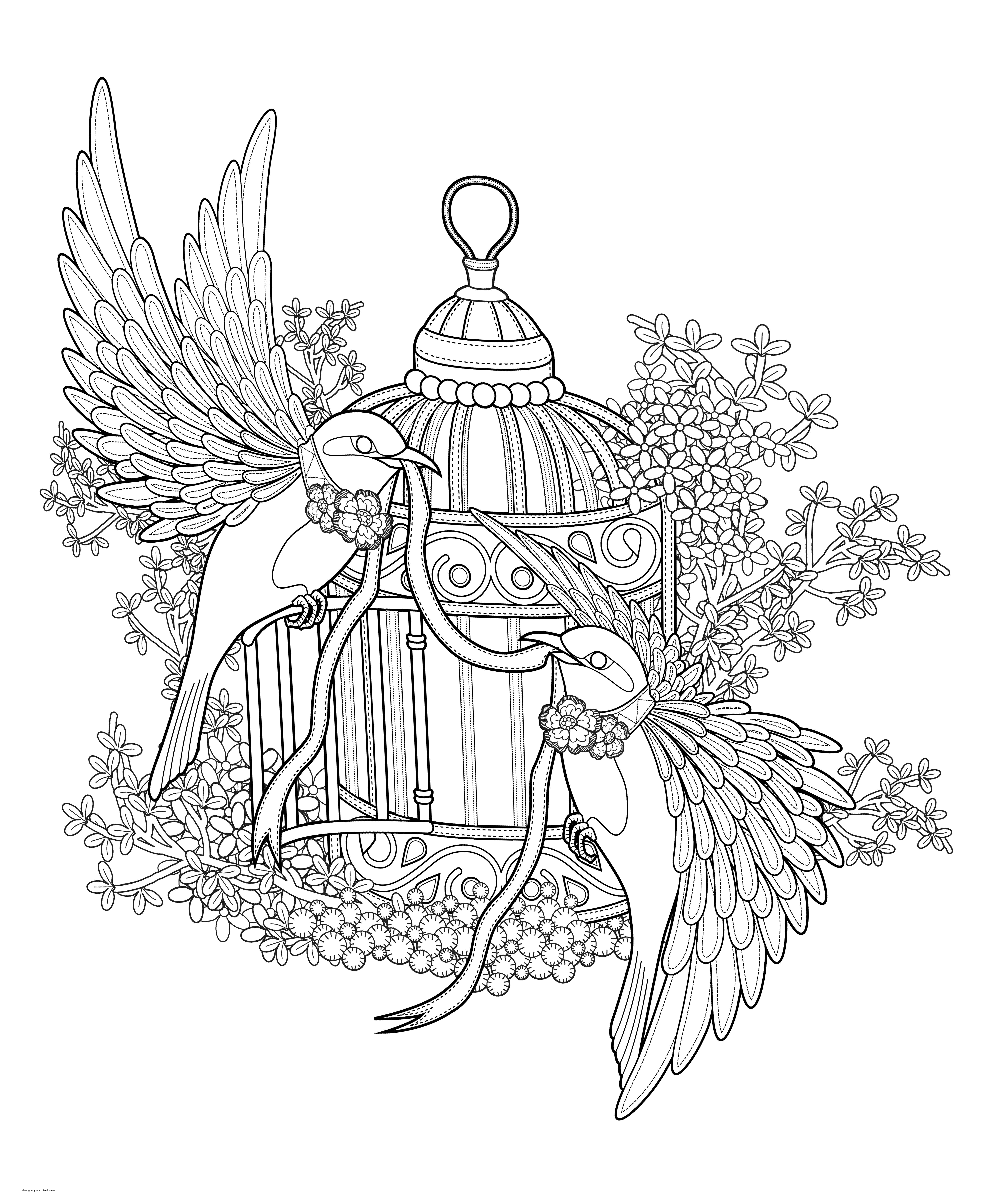 Songbirds Coloring Page    COLORING PAGES PRINTABLE.COM