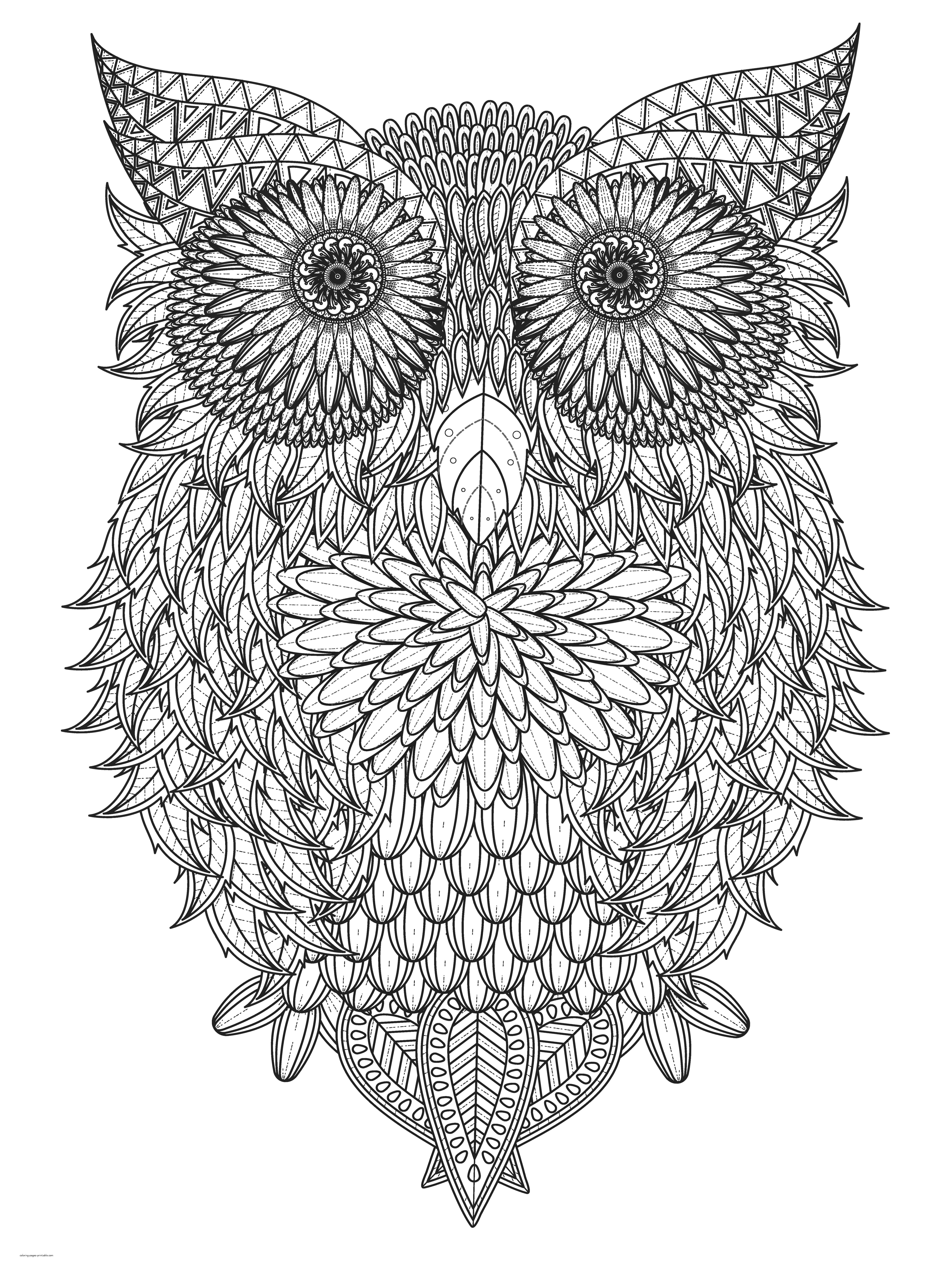 Big Difficult Coloring Page. An Owl Picture
