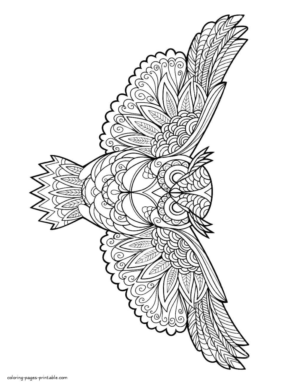 bird-coloring-book-for-adults-coloring-pages-printable-com