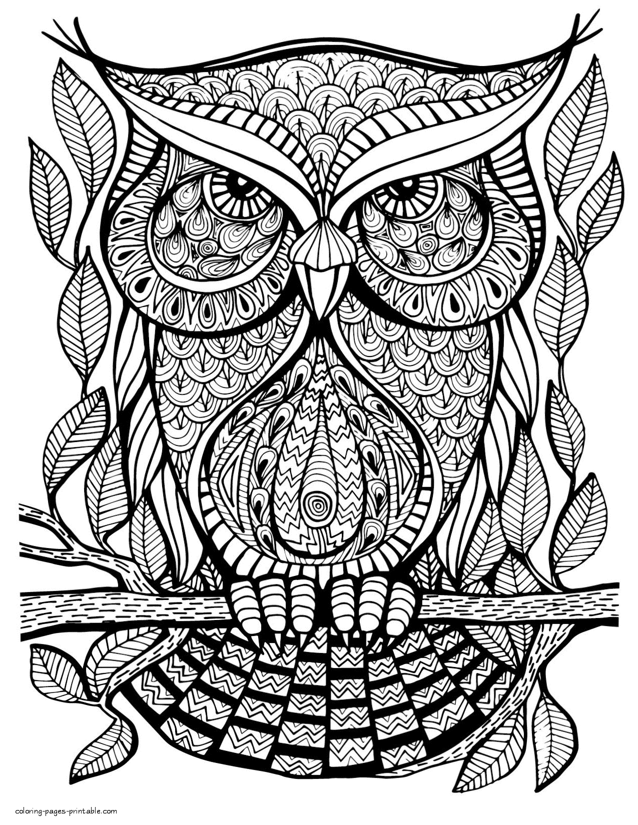 Jumbo Adult Coloring Pages