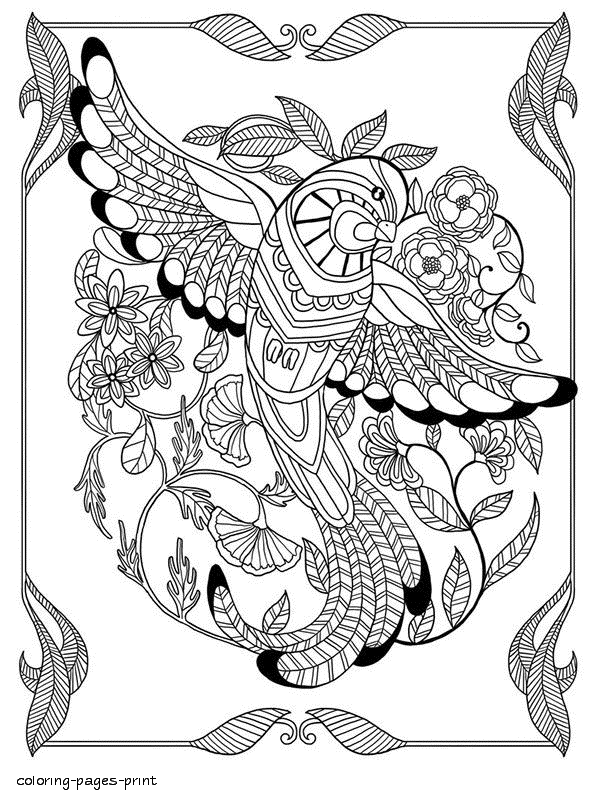 Free Bird Coloring Pages With Many Details || COLORING-PAGES-PRINTABLE.COM