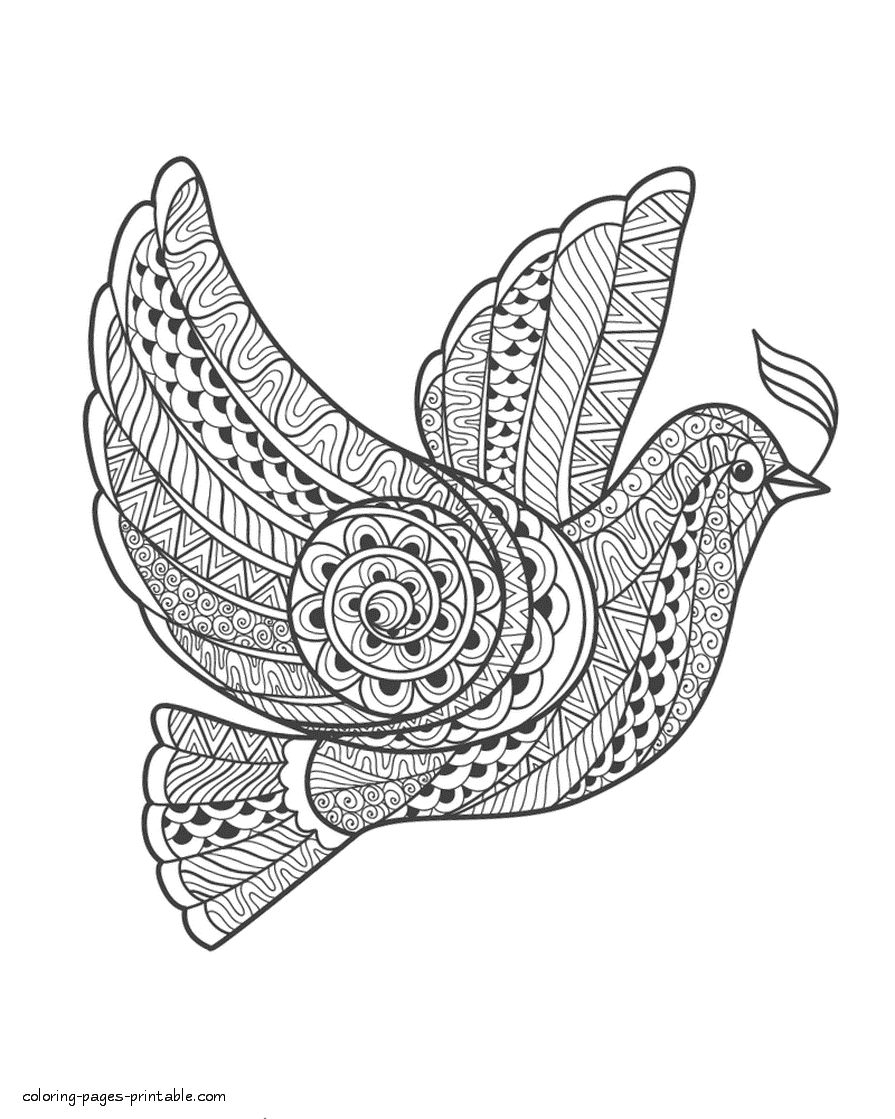 Adult Dove Coloring Page