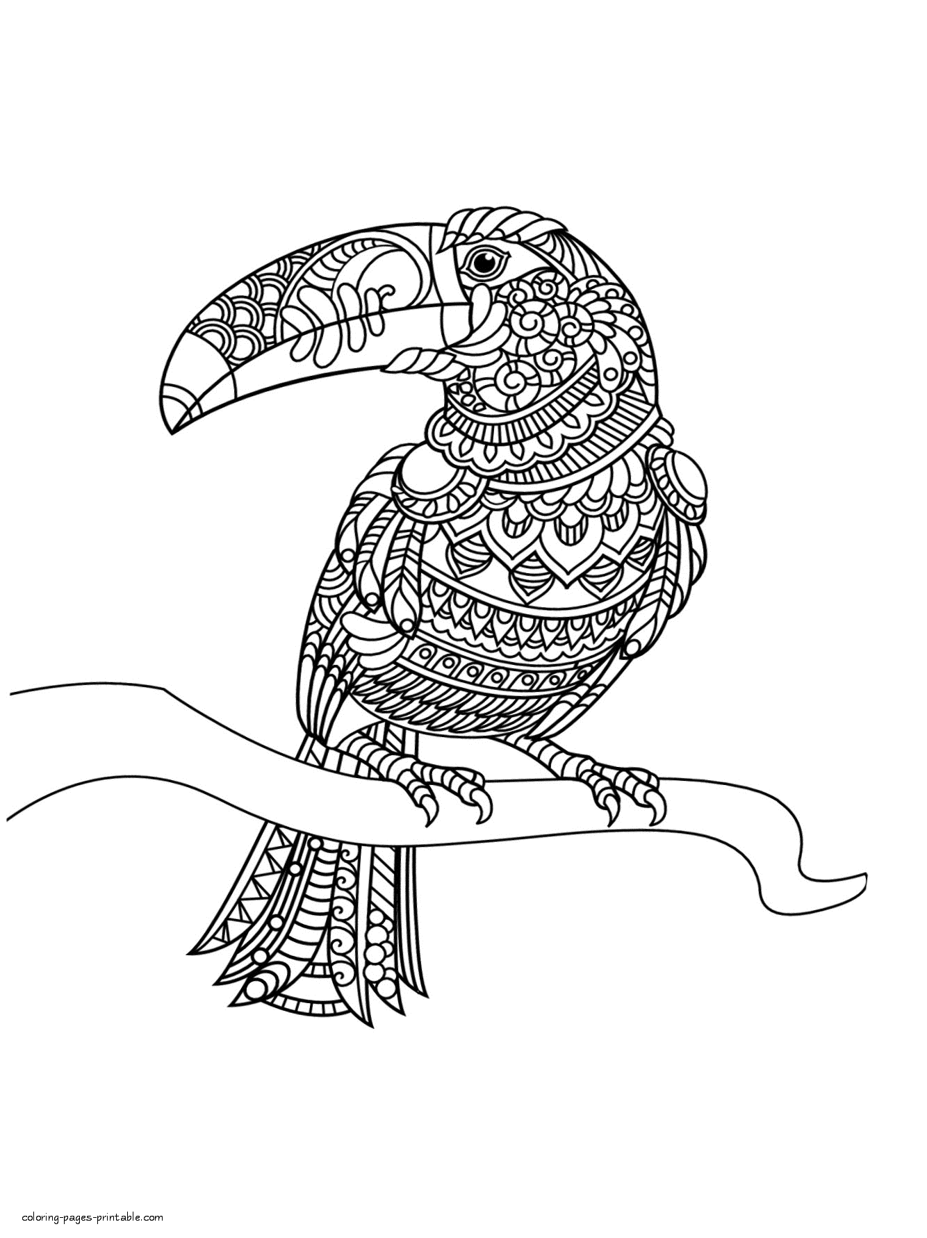 Toucan Coloring Page For Adults || COLORING-PAGES-PRINTABLE.COM