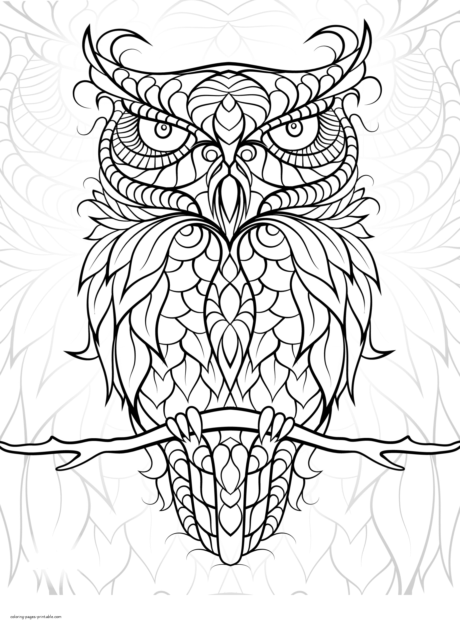 Free Printable Bird Coloring Pages For Adults || COLORING-PAGES