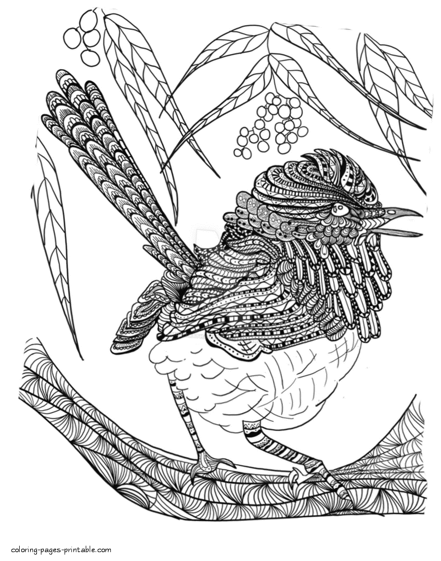 Adult Coloring Pages. A Bird || COLORING-PAGES-PRINTABLE.COM