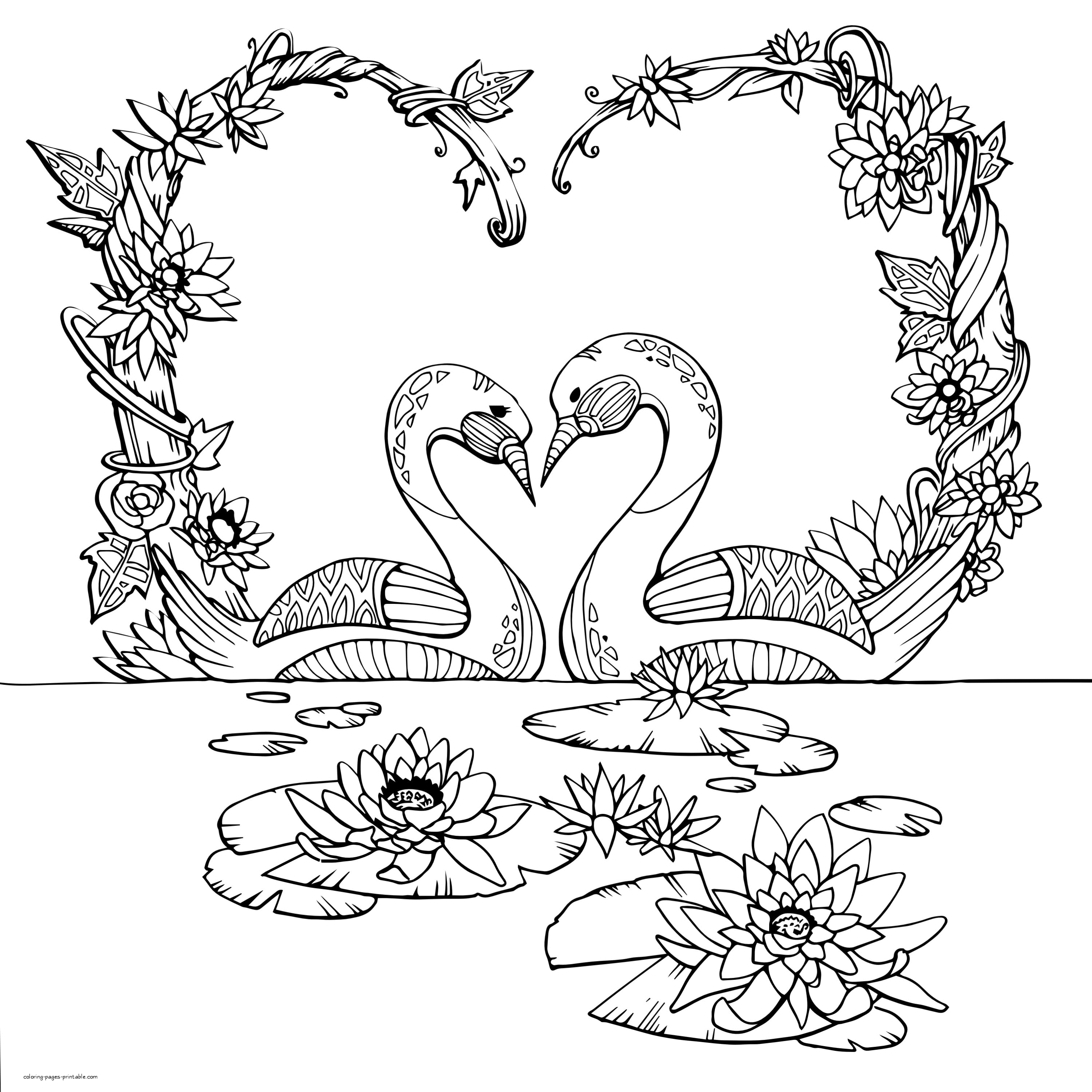 Pair Of Swans Adult Coloring Page