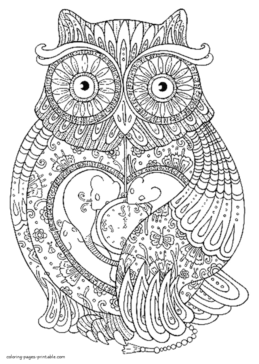 Hard Coloring Pages. Owl Bird || COLORING-PAGES-PRINTABLE.COM