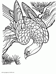 Birds Of Prey Coloring Printable Pages For Adults