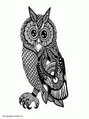 Adult Bird Coloring Pages. An Owl