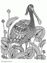Detailed Bird Coloring Page For Adults
