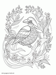 Extra Large Coloring Page Of A Bird For Adult