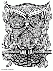 Large Print Coloring Pages For Adults. An Owl