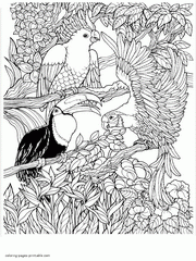 Parrots. Free Coloring Pages For Adults