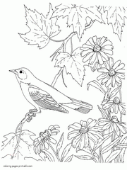 Printable Bird Coloring Book