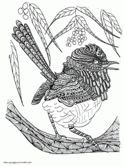 Adult Coloring Pages. A Bird To Color