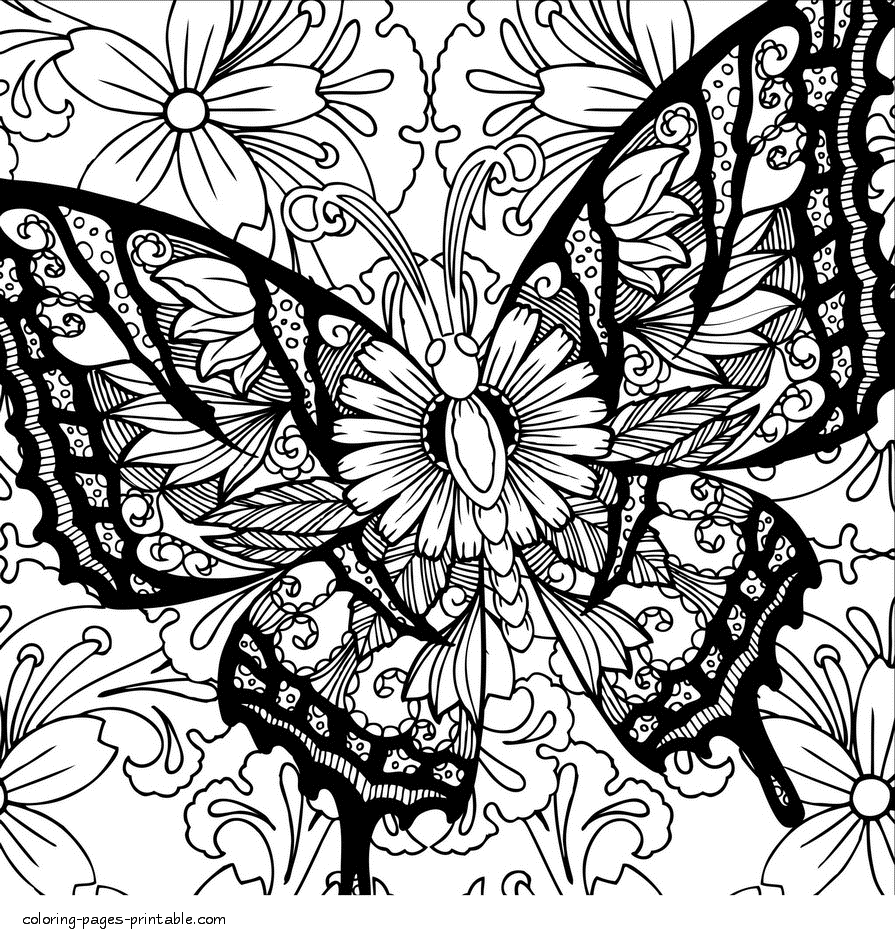 Detailed Butterfly Coloring Pages For Adults Download It And Color 