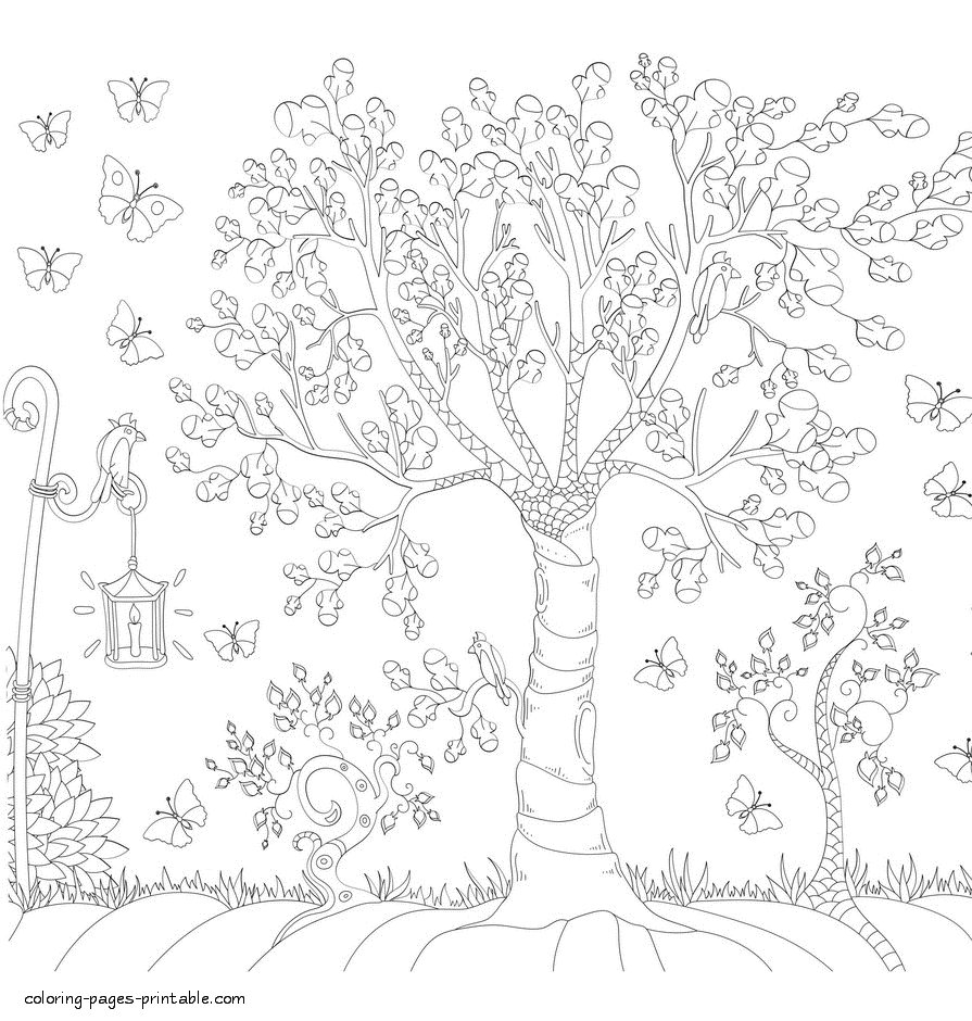Trees And Butterflies. Printable Adult Colouring Pages