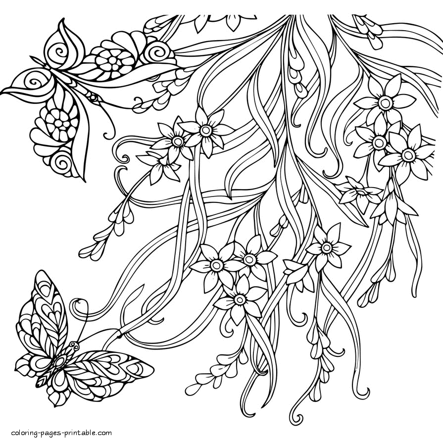 Pictures Of Flowers And Butterflies To Colour In : These free