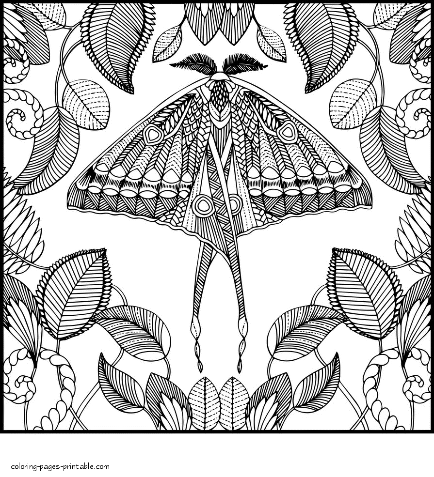 Printable Butterfly Coloring Pages Adults