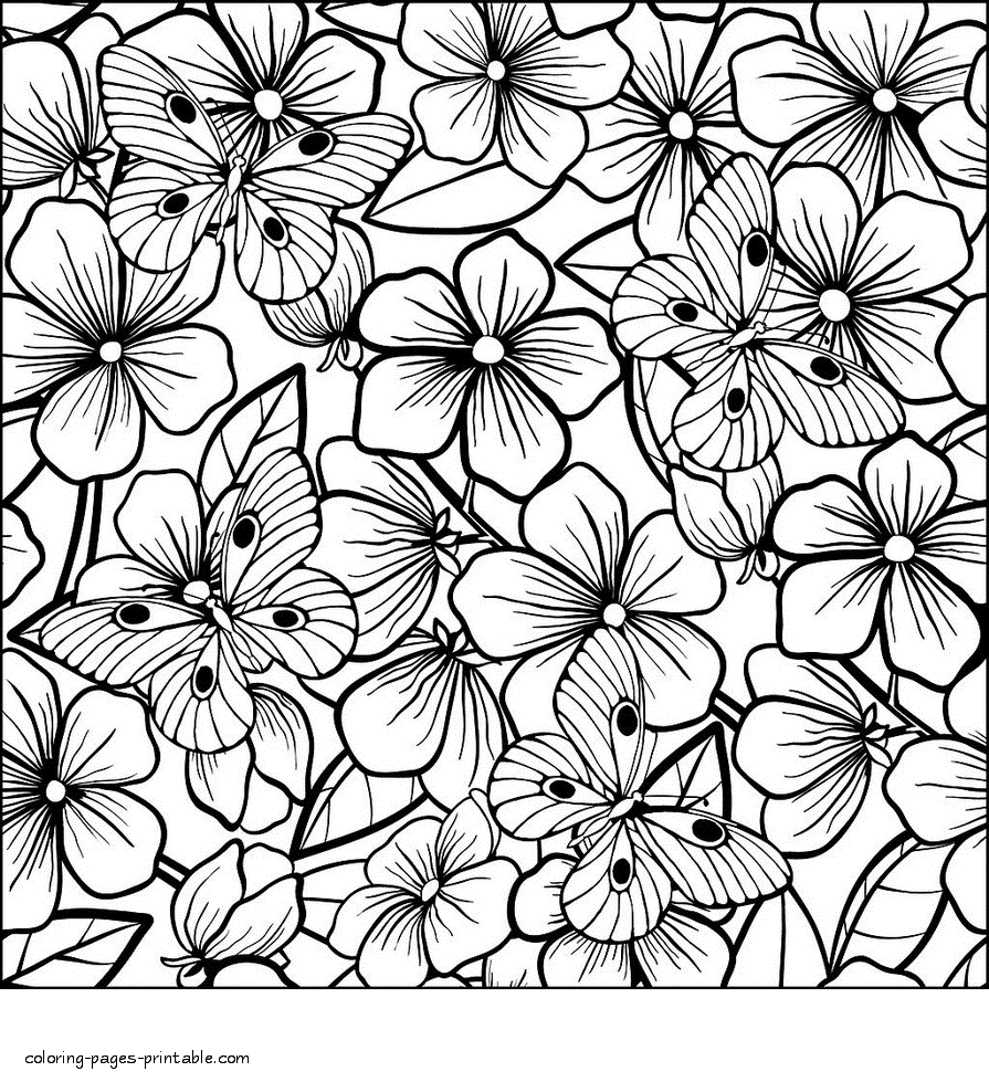 Full Page Butterfly And Flowers Coloring Sheet COLORING PAGES 