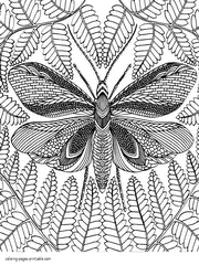 Moth Coloring Pages Free For Adults