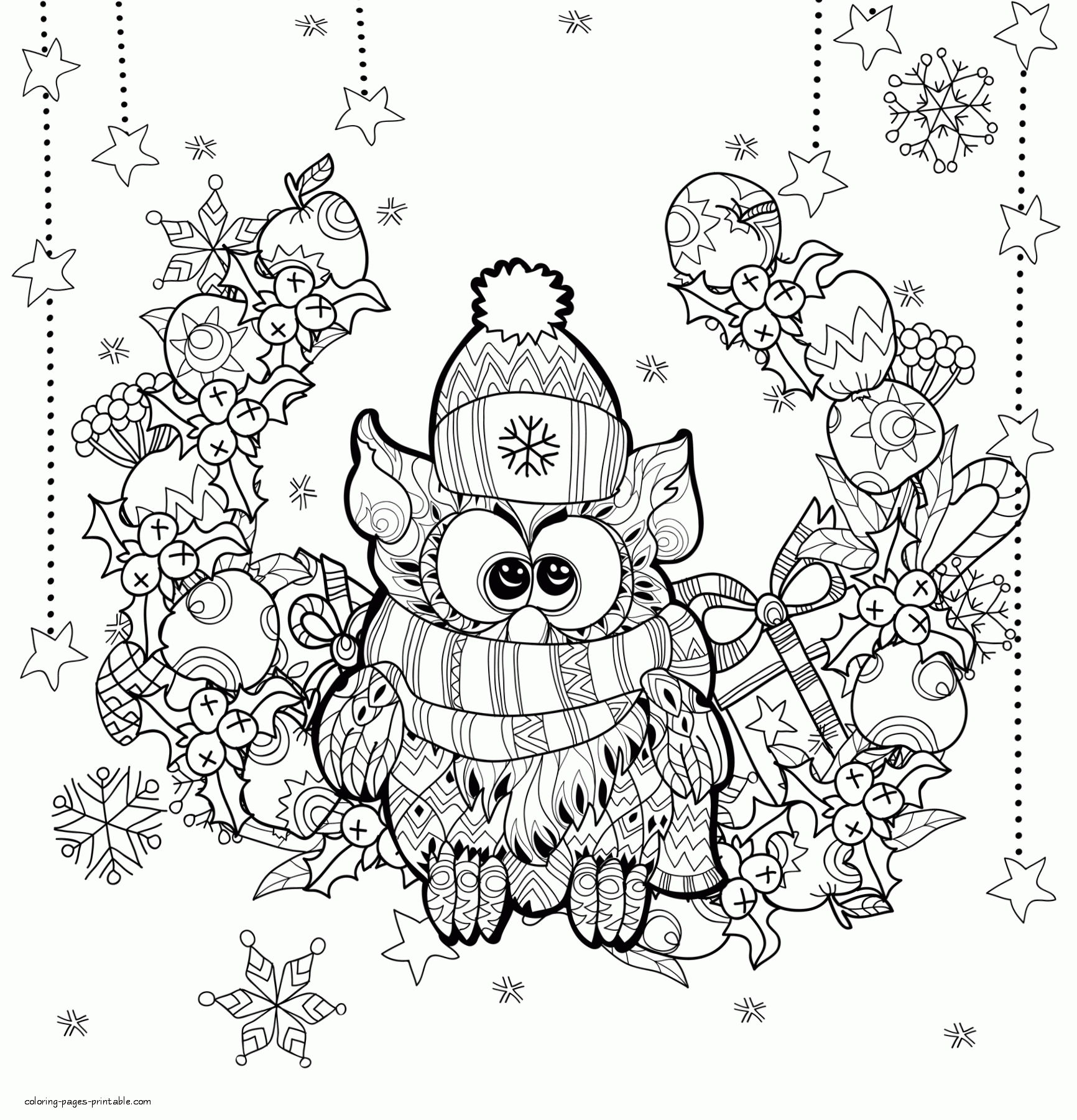 Christmas Coloring Page For Adult. Winter dressed Owl 