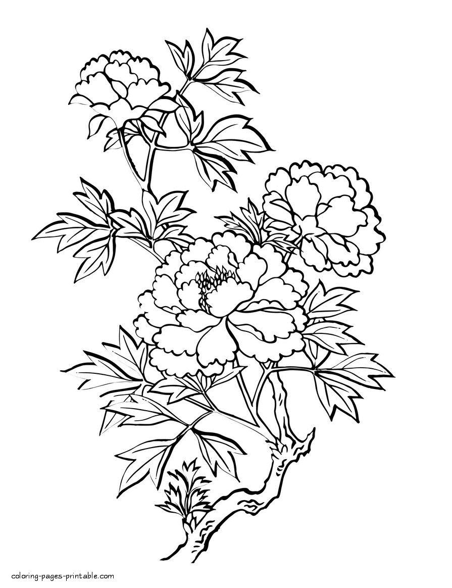 Coloring Paper Flowers For Adults