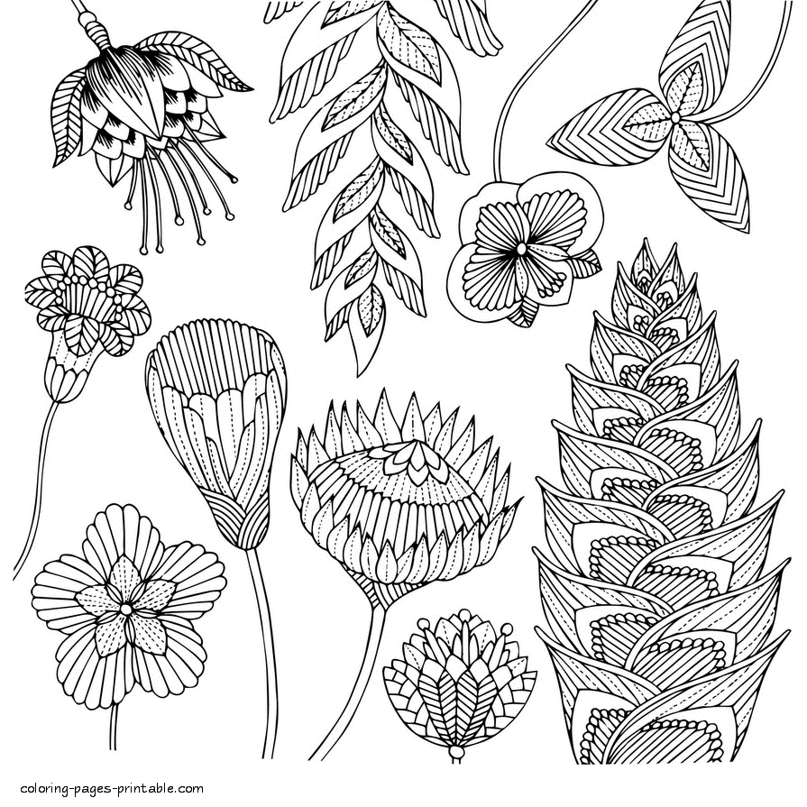 Adult Coloring Page With Flowers To Print