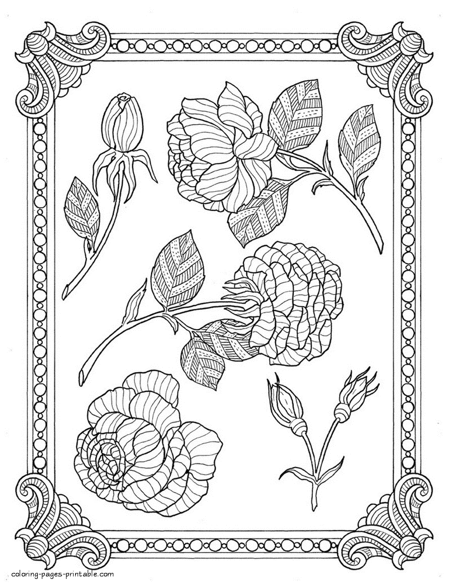 Coloring Pictures Of Flowers For Adults. Roses