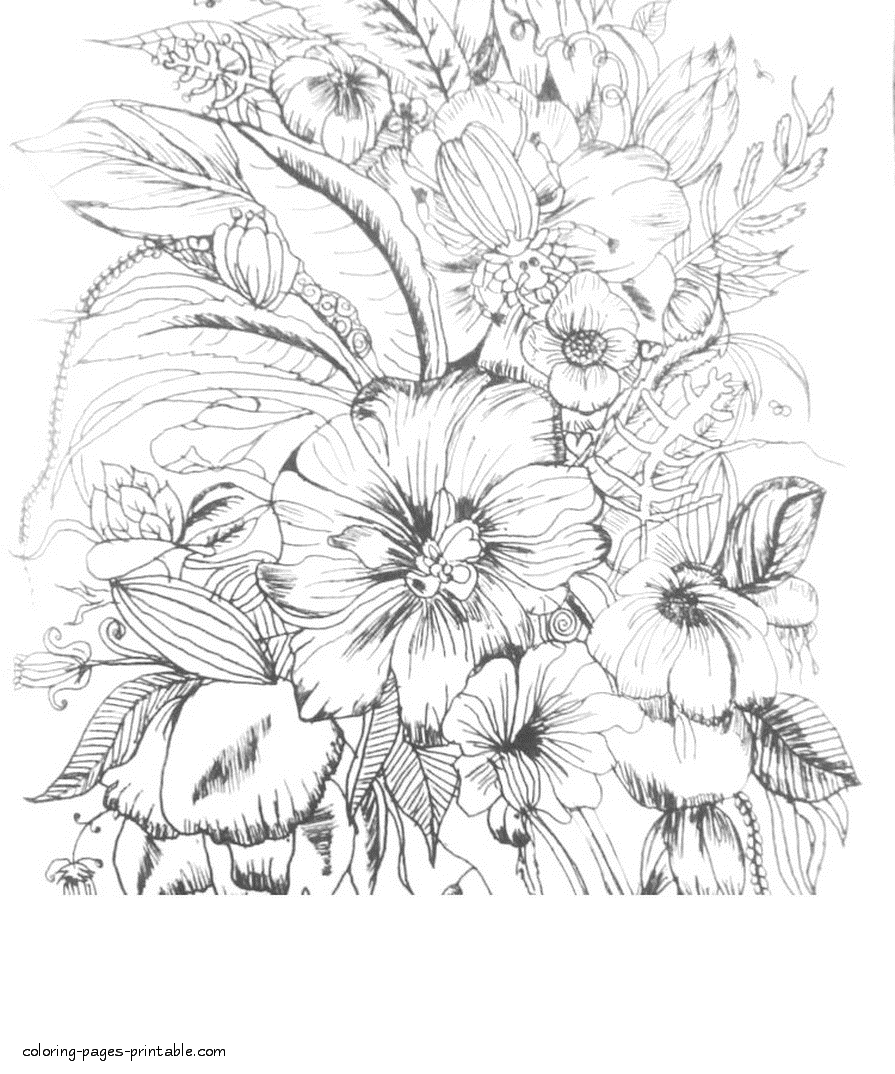 printable coloring pictures of flowers coloring pages printable com