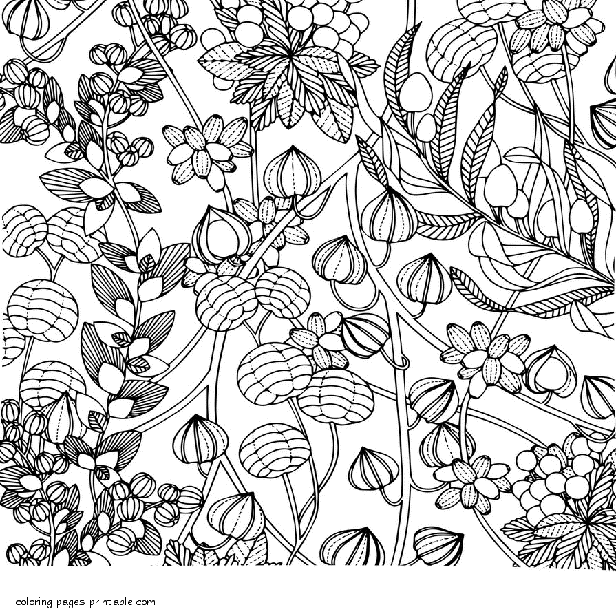 Big Flower Coloring Pages For Adults