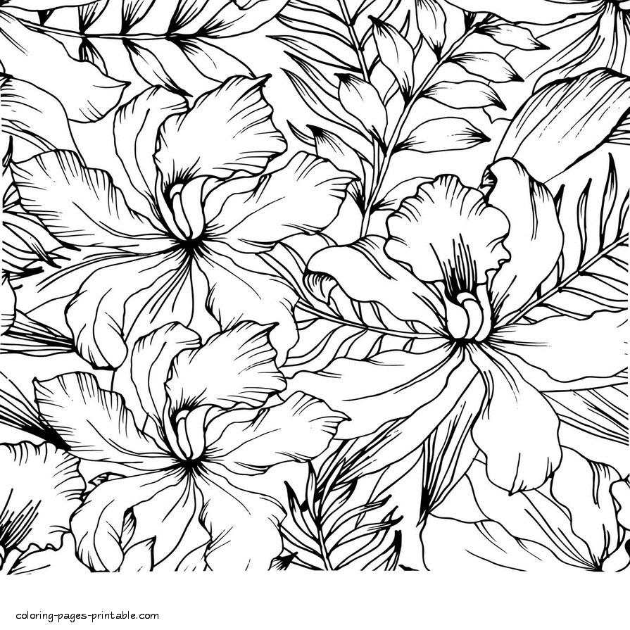 Adult Printable Coloring Book With Flowers